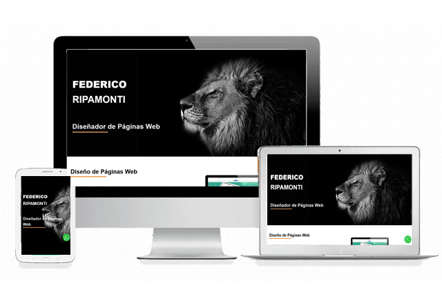 Diseñador de Páginas Web Federico Ripamonti en Argentina Diseño Web